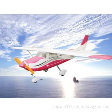 4CH CESSNA T206 Famous Parkflyer RTF